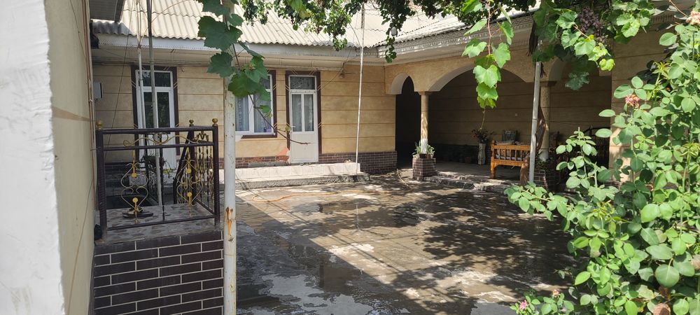 Domni  puliga hovli shoshilib qoling