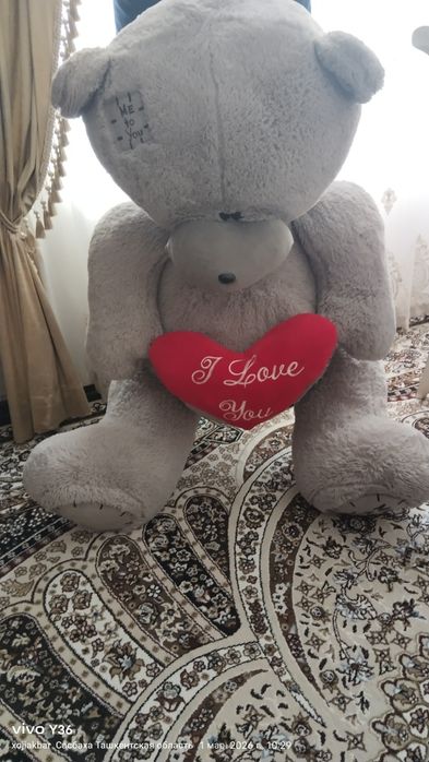 Teddy Ayiq Mishka kotta yumshoq o'yinchoq