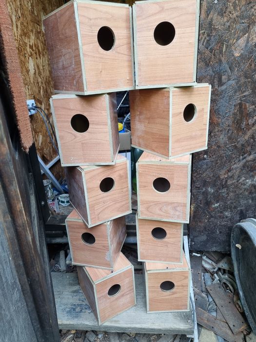 Cuiburi pentru pasari de colivie