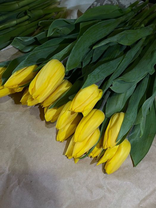 Тюльпаны РАСПРОДАЖА Астана, оптом и в розницу.