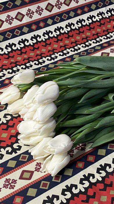 Тюльпаны тельпаны тюлпаны цветы бесплатный доставка