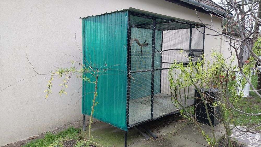 Vind voliera papagali mari sau mici sau si pt canari