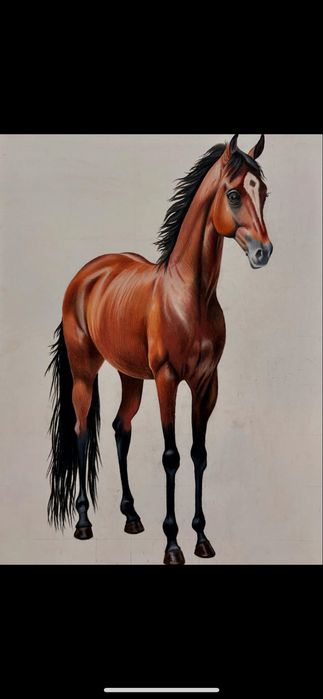 ръчно нарисувани картини