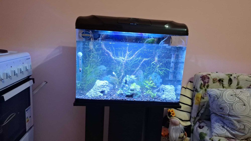 Аквариум RS 320 EL - черен в комплект със всичко необходимо