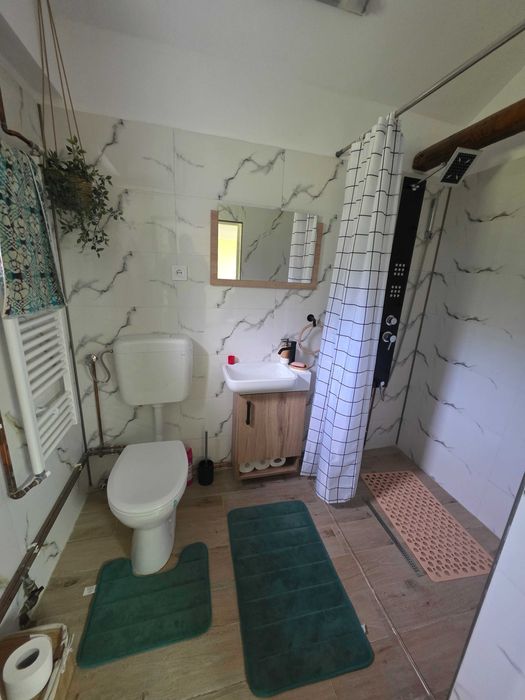 Inchiriere cabana Casa din Deal -Valea Finisului KM 7