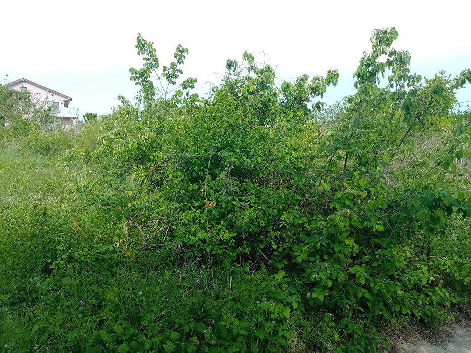 Разчистване,подравняване и ограждане на имоти, парцели