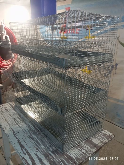 Клетки для перепел