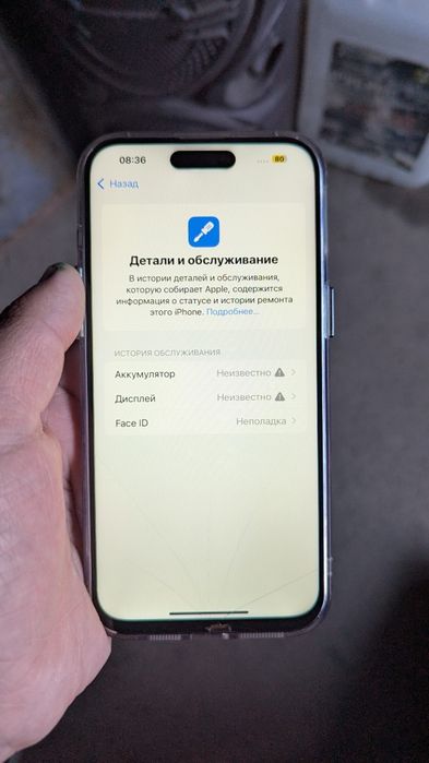 15 про Макс 256/100