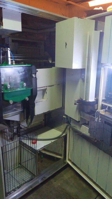 Fresh Portocale Fresh Portocale Zummo10