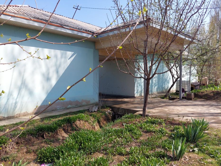 Ховли уй. Трасса буйида