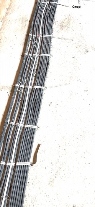 electrician cu experienta