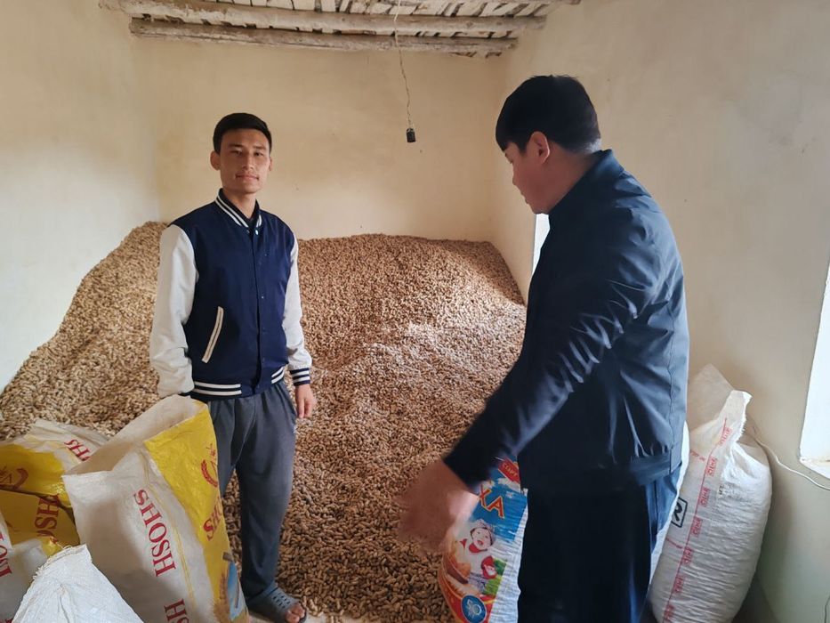 Yer yongʻoq qovurilgan