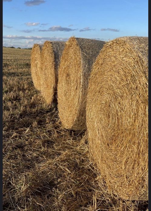 Продам СЕНО в любую точку