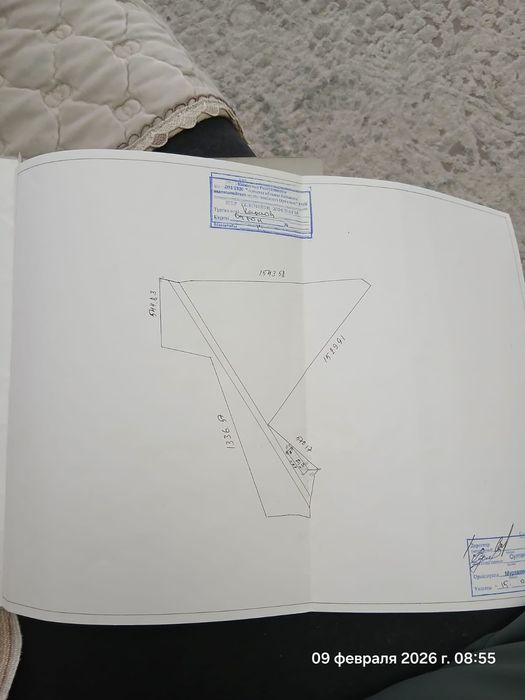 Продам фазенду со скотом