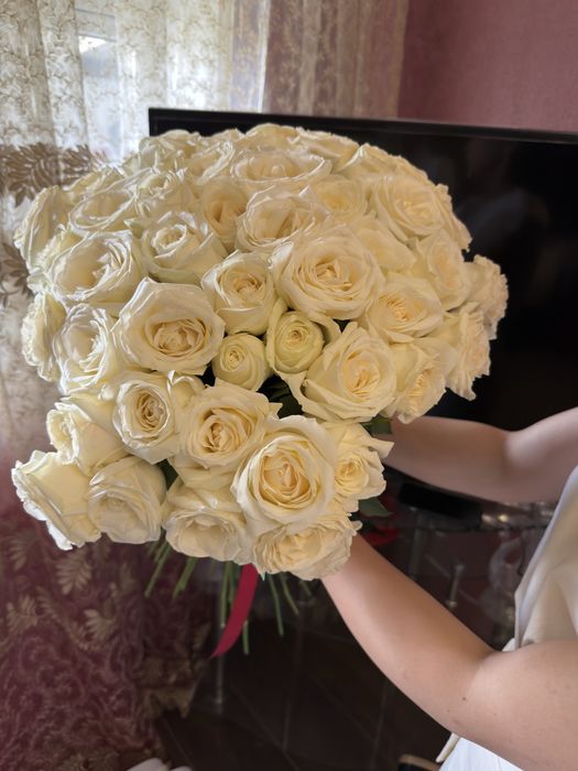 Голландские розы