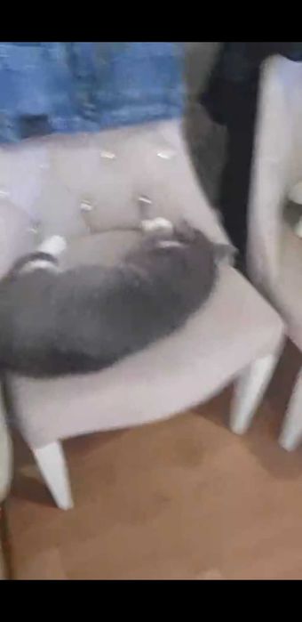 Бюро находок Наталья