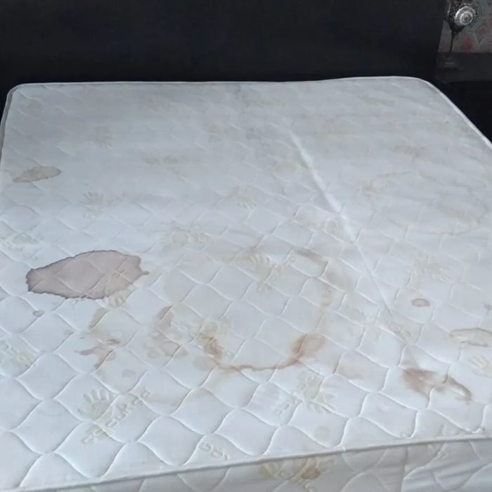 Химчистка дивана, кресла, матраса, стульев