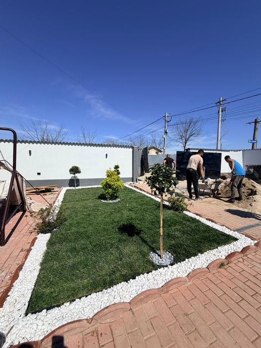 Gazon rulou plante ornamentale pentru gradina