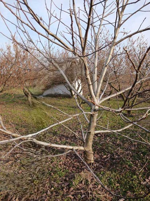 Продава се Къща в с. Добрево, Област Добрич - 70 кв.м за 219 €/кв.м - Снимка #11