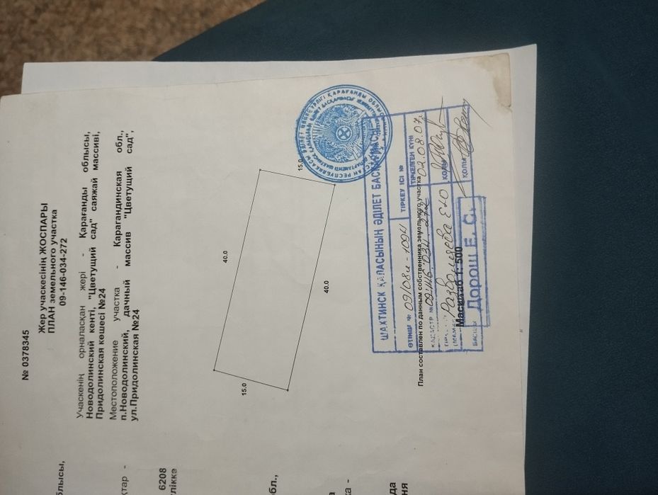 Дача цветущая сад.