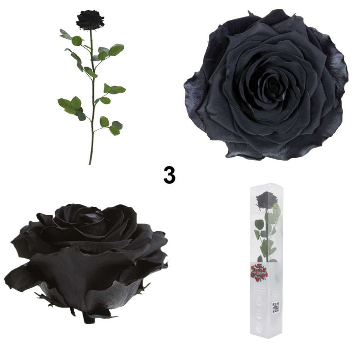 Естествени стабилизирани рози и пъпка роза-за подарък, декорация с мъх