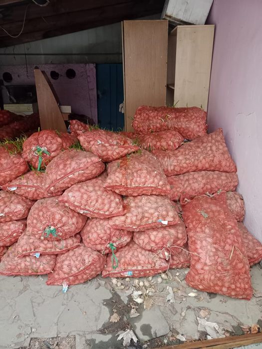 Срочно продам лук, цена договорная