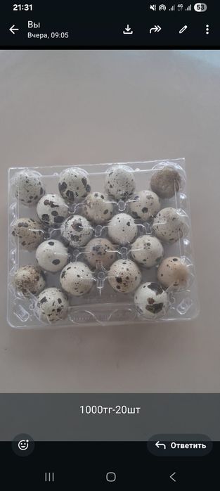 Перепелиные яйца