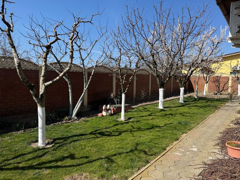 Casa Individuala Sag (Timis) - Vatra Satului - 3 Camere + Anexa