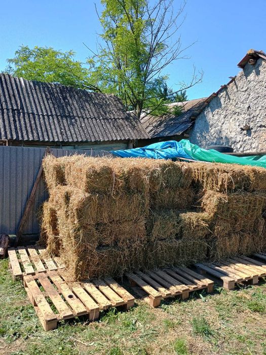 Vand baloti de Lucerna cu ridicare din Radulesti, Vrancea
