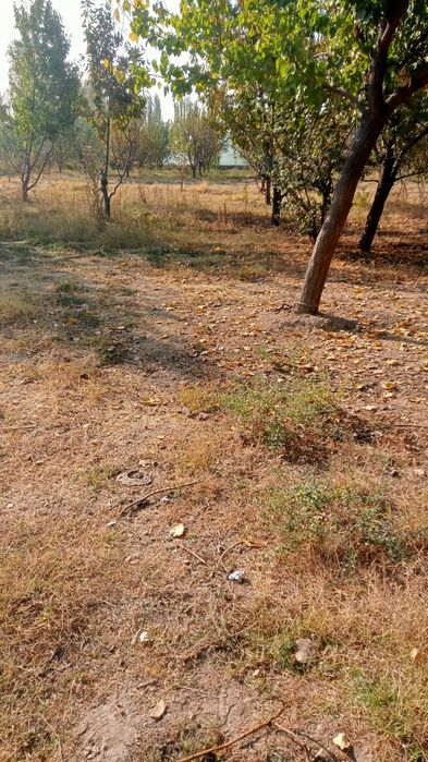 Sotiladigan uchaska bor