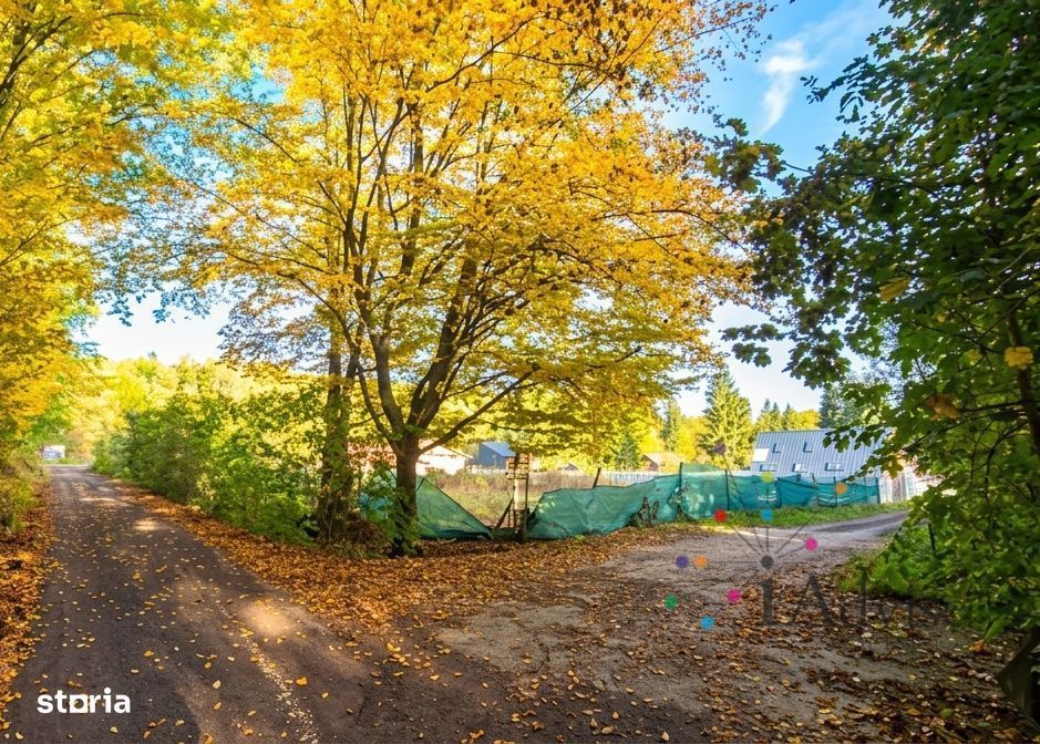 Teren intravilan 1.000 mp – Cartier Noua, Brașov (lângă pădure)