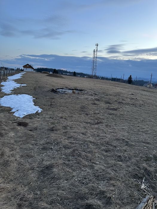 Teren in Marisel, Copcea aproape de partie