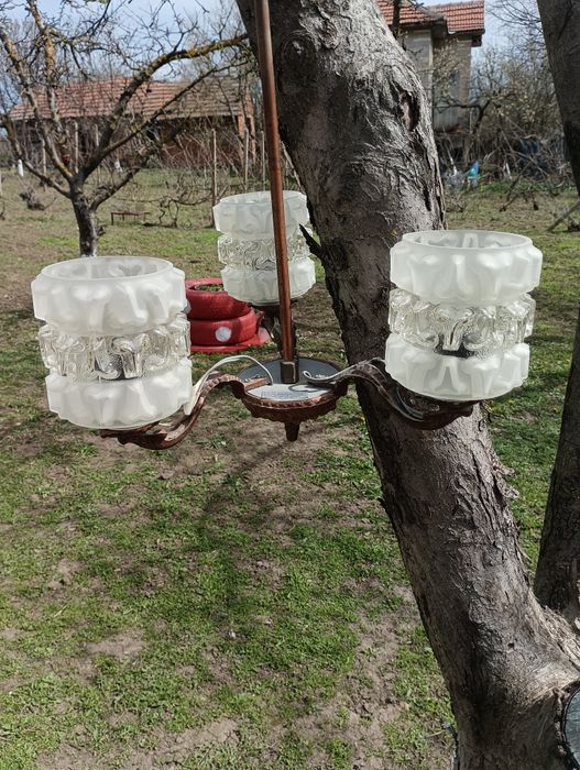 Месинг(меден)полюлей