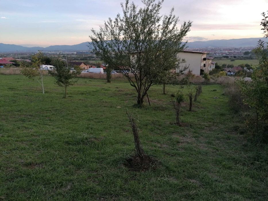 Teren constructii str. Macesului