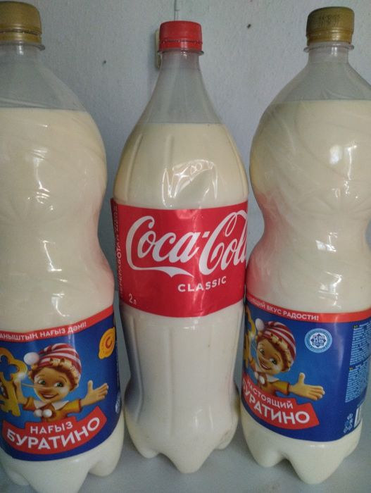 Сиыр сути кою 300т