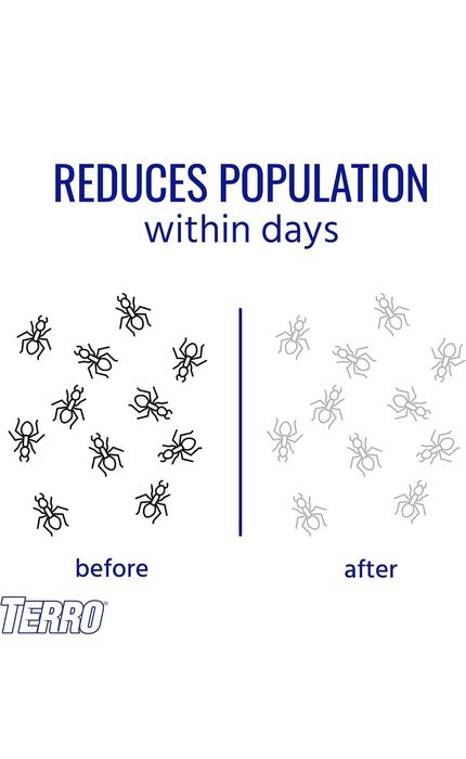 Средство от меравьев в доме