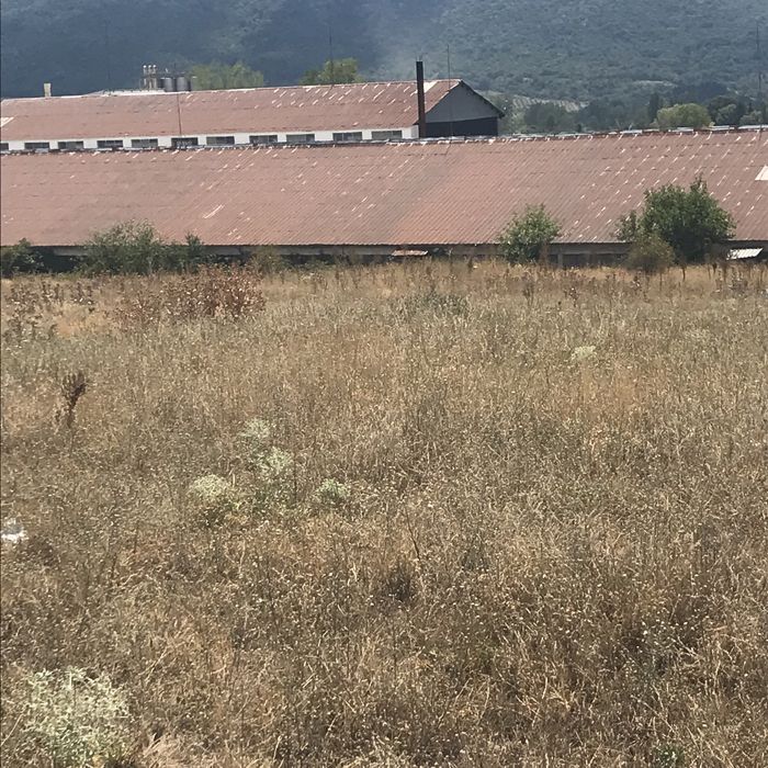 Продава се Парцел в с. Черногорово, Област Пазарджик - 12000 кв.м за 16 €/кв.м - Снимка #1