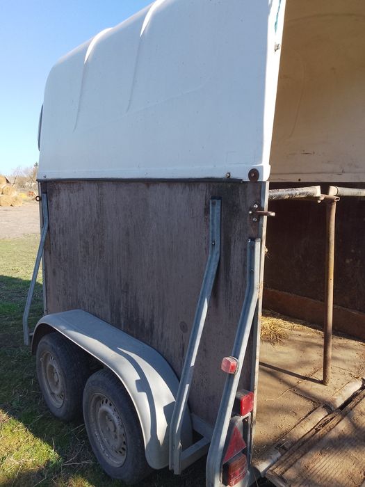 Remorca transport pentru 2 animale