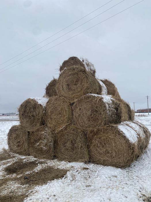 Продам Рулоны Луговые!!