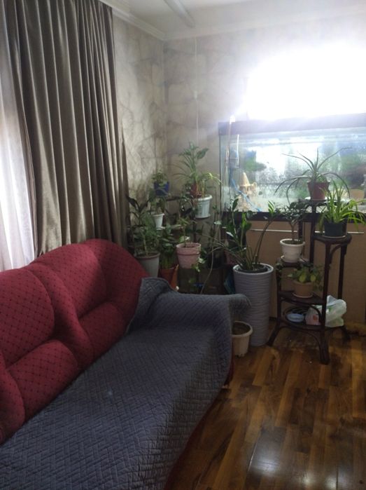 Продам дом в городе