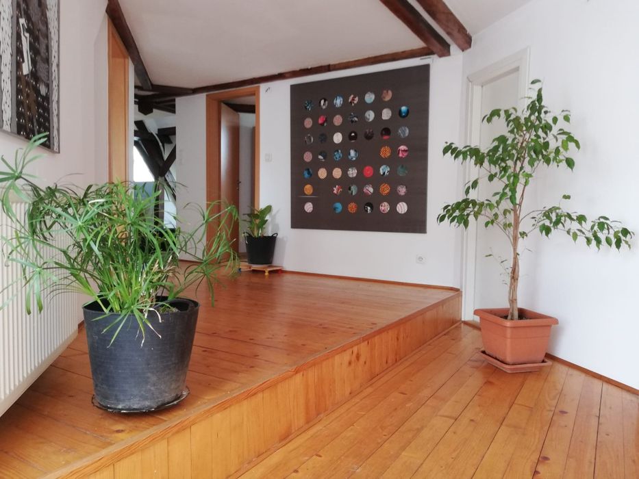 Închiriez apartament  4 camere 3 dormitoare, Pet Friendly, strada Bul Victor Babeș