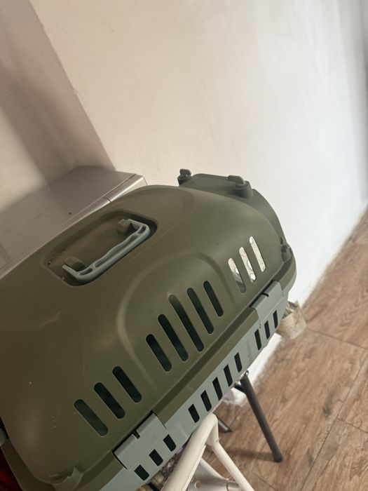 cușcă de pisici / catei