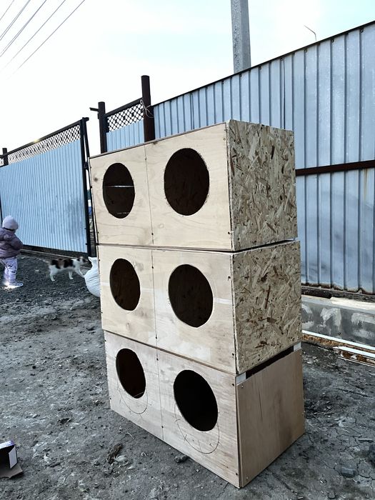 Гниздо домашный птица и тавар