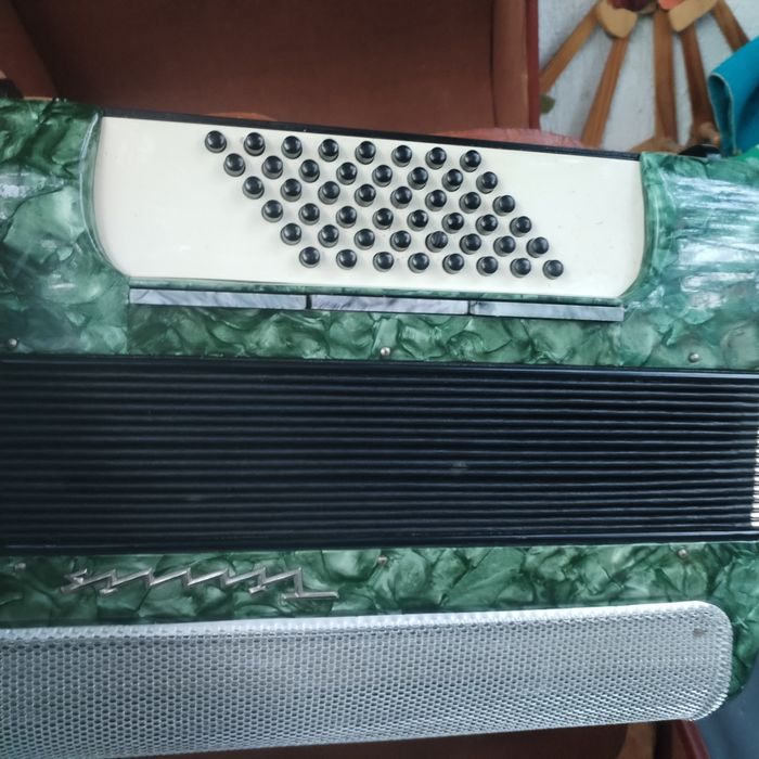 Acordeon Timiș...