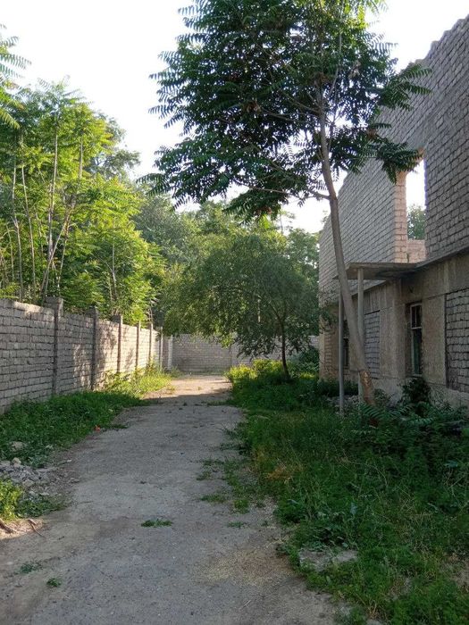 11.2 sotix (Nejiloy) sotiladi srochno Nurafshon(Toytepa)