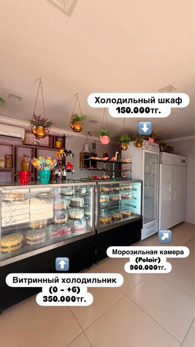 Витрина, морозильники, миксеры, жарочный шкаф, оборудование Актау