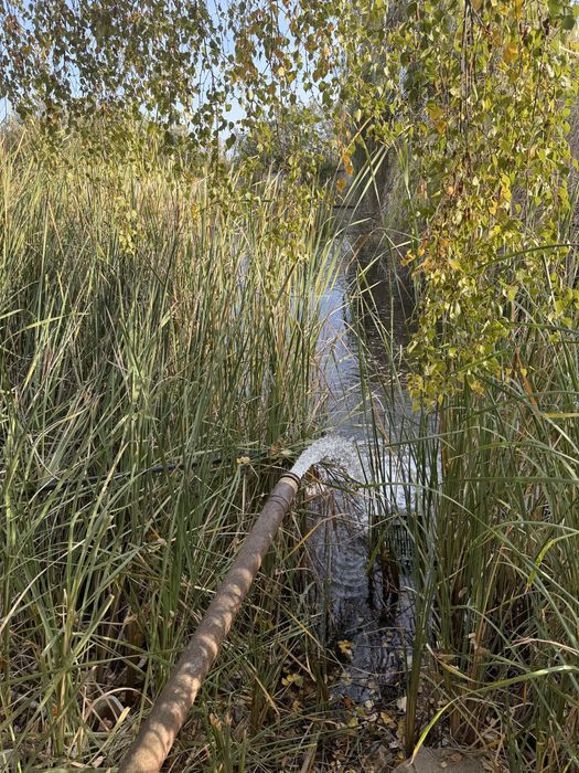 Продава се Промишлена сграда в с. Калугерово, Област Пазарджик - 23000 кв.м за 30 €/кв.м - Снимка #3