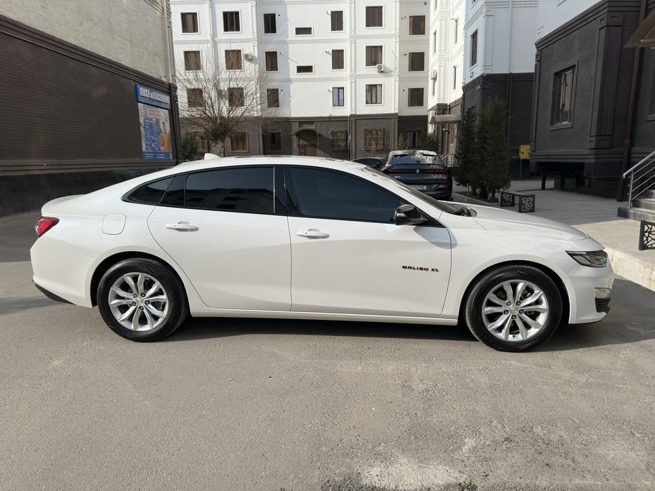 Malilu XL 2018  oq Jemchuk