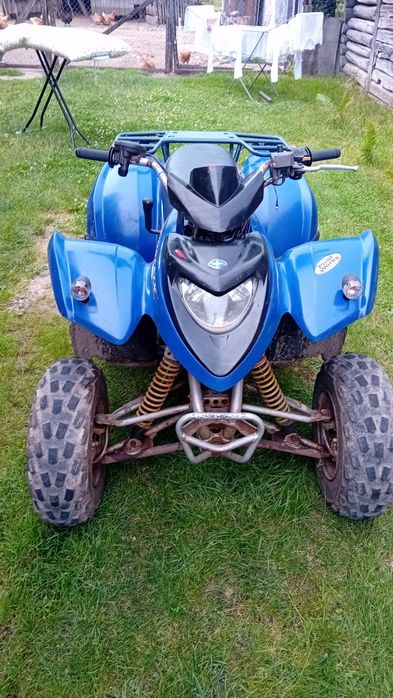 Polaris phoenix 200