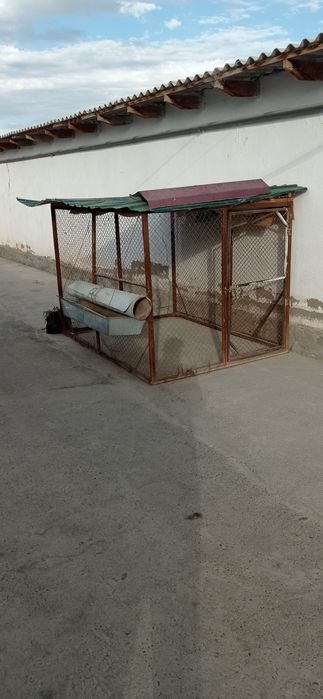 Quy xona ,tovuq xona qilsa xam buladi